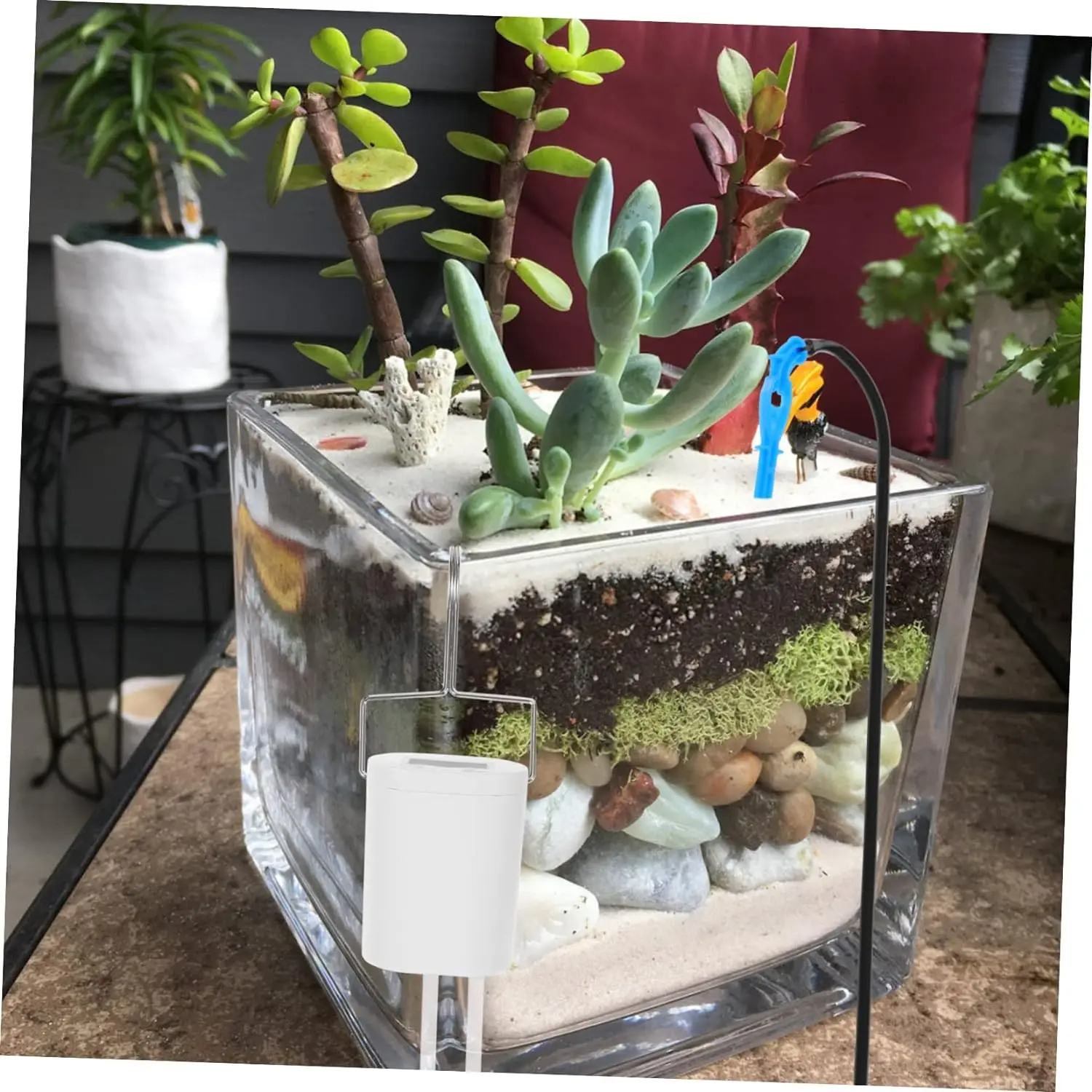 Automatic Plant Flower Waterin - đánh giá và giá Home Improvement Tool Time